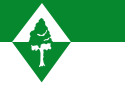 Oudenbosch – Bandiera