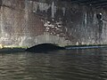 De duiker naar de Lijnbaansgracht onder de Koekjesbrug (april 2017)