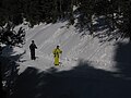 Miniatura per Mancomunitat per la promoció de l'Esquí Nòrdic