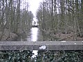 De Poekebeek in het kasteelpark van Poeke