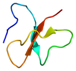 β-Defensin