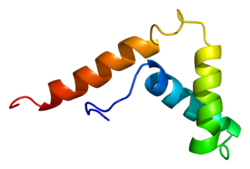 Белок SOX13 PDB 1i11.png