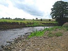 River Laver at Clotherholme - geograph.org.uk - 508868.jpg