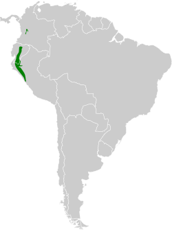 Distribución geográfica del pepitero enmascarado.