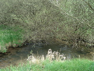 Da Steinbach (voane links) mindd in de Hafenlohr (vo hintn noch rechts)