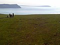 Stepper Point (with Trevose Head in the distance, right), viewed from Pentire Farm.