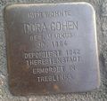 Stolperstein für Dora Cohen (Domstraße 21)