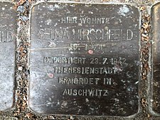 Stolperstein für Selma Hirschfeld in Hannover