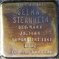 Stolperstein für Selma Sternheim (Mozartstraße 54)