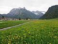 Blick über den Ortsteil Adelmatt mit Fluebrig