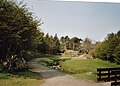 Spazierweg am Bach Havnará im Stadtpark