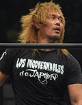 Miniatura para Los Ingobernables de Japón