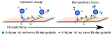 Schematischer Vergleich von Sandwich-Assay und kompetitivem Assay