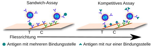 Schematischer Vergleich von Sandwich-Assay und kompetitivem Assay