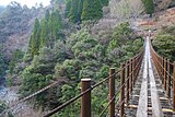 樅木吊橋（しゃくなげ橋とあやとり橋）