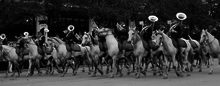 The mounted band of the 2nd U.S. Cavalry leads the parade at the 1902 encampment of the Grand Army of the Republic. 2ndCav Band.png