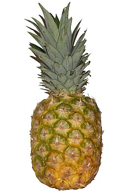 Ananas (1)