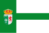 Flag of Perales del Puerto, Spain