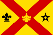 Vlag van de gemeente Binnenmaas