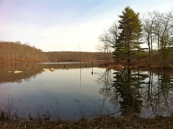 View from the southern end of Black Spruce Pond off the Natchaug Trail.