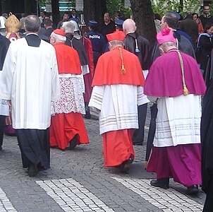 In the Roman Catholic Church, cardinals now wear scarlet and bishops wear amaranth.