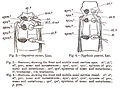 Hình xem trước của phiên bản lúc 11:30, ngày 6 tháng 2 năm 2008