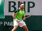 David Ferrer