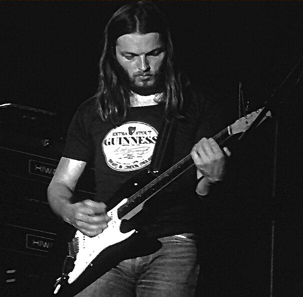 File:David Gilmour and stratocaster.jpg
