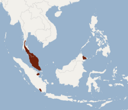 Distribution of Phoniscus atrox.png