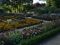 Le jardin multicolore.