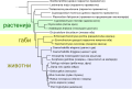 Минијатура на верзијата од 06:17, 30 април 2013