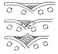 Миниатюра для Файл:Evolución-orogenia-alpina.jpg