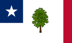 Variante officieuse commune du drapeau, jusqu'en 1894.