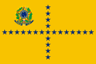 巴西副总统旗