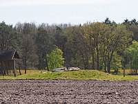 Hügelgrab mit 2 Findlingen