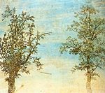 Два дерева. Между 1620 и 1630. Офорт, раскраска. Рейксмюсеум, Амстердам