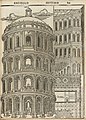 Colosseum (1536).