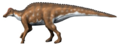 Hypacrosaurus