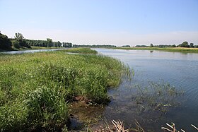 Battures de l'île Grosbois (à gauche) et vue sur l'île Dufault (au fond à droite)