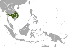 Carte de l'Asie du Sud Est avec une tache verte centrée sur le Cambodge