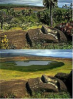 Miniatura para Ecorregión terrestre bosques latifoliados subtropicales de Rapa Nui