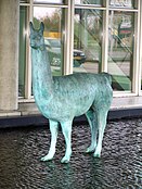 Lama (2002), Leeuwarden