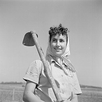 קיבוצניקית עם מעדר, גבעת ברנר, 1948-1949