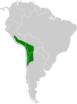 Distribución geográfica del negrito andino.