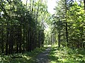 Oldenburg Point trail