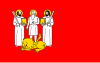 Flag of Gmina Szelków