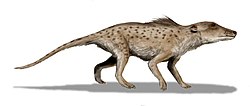  Reconstitution de Pakicetus