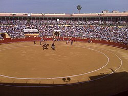 Arènes de Jerez de la Frontera