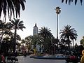 Miniatura para Casablanca (Chile)