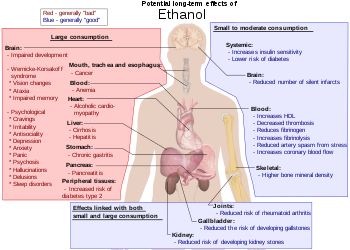 Some of the possible long-term effects of ethanol an individual may develop. Additionally, in pregnant women, alcohol can cause fetal alcohol syndrome. Possible long-term effects of ethanol.svg